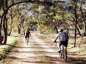 Bike About Mountain Bike Tours And Hire - Surfers Paradise Gold Coast 0