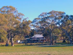Old Wilpena Station - Surfers Paradise Gold Coast 0