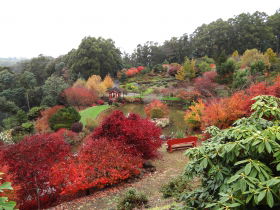 Emu Valley Rhododendron Garden - Surfers Paradise Gold Coast 0