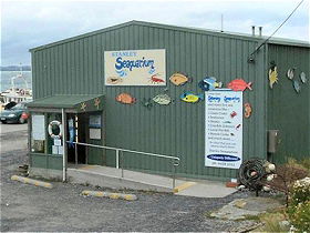 Stanley Seaquarium - Surfers Paradise Gold Coast 0