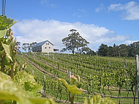 Bruny Island Premium Wines Bar And Grill - Surfers Paradise Gold Coast 0