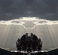 aart. Gallery of Fine Art - Surfers Paradise Gold Coast