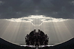 Aart. Gallery Of Fine Art - Surfers Paradise Gold Coast 0