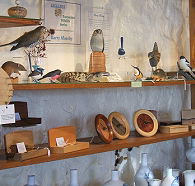 Touchwood Craft Gallery Gifts and Cafe - Surfers Paradise Gold Coast