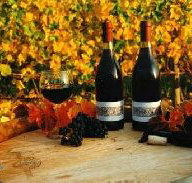 Craigow Vineyard - Surfers Paradise Gold Coast