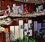 West Coast Visitor Information and Booking Centre - Surfers Paradise Gold Coast