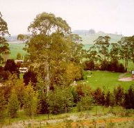 The Tasmanian Arboretum - Surfers Paradise Gold Coast