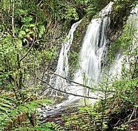 Hogarth Falls - Surfers Paradise Gold Coast