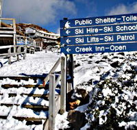 Ben Lomond National Park - Surfers Paradise Gold Coast