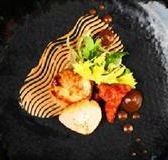 Sage - Surfers Paradise Gold Coast