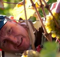 Puddleduck Vineyard - Surfers Paradise Gold Coast