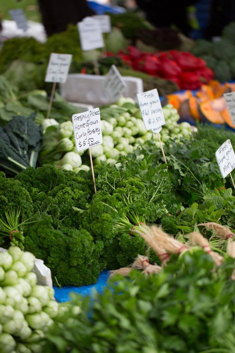 Salamanca Market - Surfers Paradise Gold Coast 5