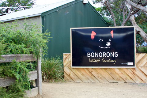 Bonorong Wildlife Sanctuary - Surfers Paradise Gold Coast 1
