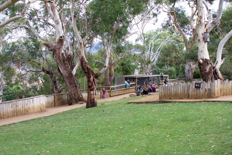 Bonorong Wildlife Sanctuary - Surfers Paradise Gold Coast 2