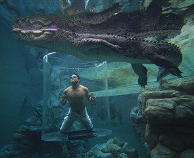 Crocosaurus Cove - Surfers Paradise Gold Coast 0