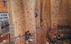 The Rock - Darwins Indoor Climbing Centre - thumb 0