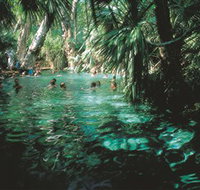 Mataranka Thermal Pool - Surfers Paradise Gold Coast
