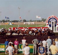 Darwin Turf Club - Surfers Paradise Gold Coast