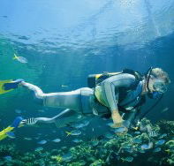 Kirra Reef Dive Site - Surfers Paradise Gold Coast