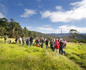 Apple Tree Park - Surfers Paradise Gold Coast 0