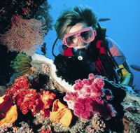 Cook Island Dive Site - Surfers Paradise Gold Coast