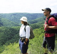 Sunshine Coast Hinterland Great Walk - Surfers Paradise Gold Coast