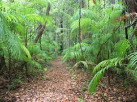Mapleton QLD Surfers Paradise Gold Coast