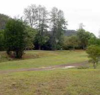 Brooyar State Forest - Surfers Paradise Gold Coast