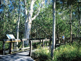 Noosa Heads QLD Surfers Paradise Gold Coast