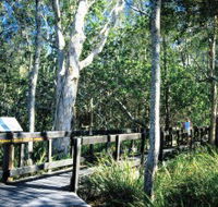 Kinaba Track - Surfers Paradise Gold Coast