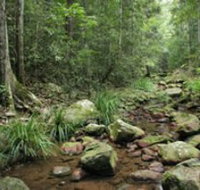 Amamoor State Forest - Surfers Paradise Gold Coast