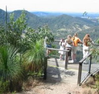 Mapleton Forest Reserve - Surfers Paradise Gold Coast