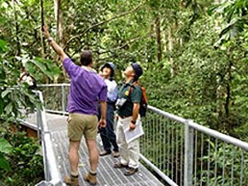 Daintree Discovery Centre - Surfers Paradise Gold Coast 0