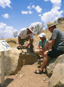 Riversleigh Fossil Fields - Surfers Paradise Gold Coast 0