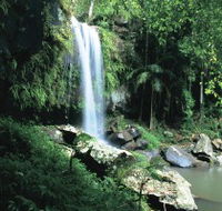 Curtis Falls Joalah Section - Surfers Paradise Gold Coast