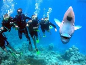 Gotham City Dive Site - Surfers Paradise Gold Coast 0