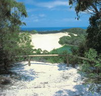 Lake Wabby Track - Surfers Paradise Gold Coast