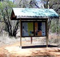 Tregole National Park - Surfers Paradise Gold Coast
