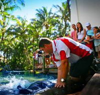 The Living Reef on Daydream Island - Surfers Paradise Gold Coast