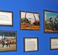 Town Hall Photographic Display - Surfers Paradise Gold Coast