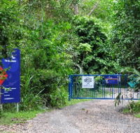 The Bat Hospital Visitor Centre - Surfers Paradise Gold Coast