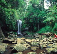 Tamborine National Park - Surfers Paradise Gold Coast