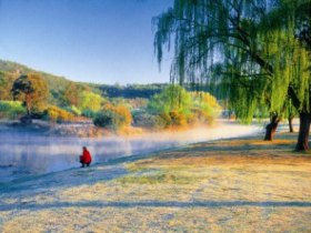 Quart Pot Creek - Surfers Paradise Gold Coast 0