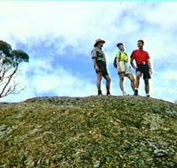 Coongarra Rock - Surfers Paradise Gold Coast