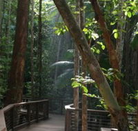 Basin Lake Track - Surfers Paradise Gold Coast