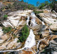 Emerald Creek Dinden West Forest Reserve - Surfers Paradise Gold Coast