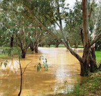 Saddliers Waterhole and Hamburg Creek - Surfers Paradise Gold Coast