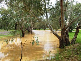 Saddliers Waterhole And Hamburg Creek - Surfers Paradise Gold Coast 0