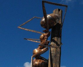 Augathella Meat Ant Park And Sculpture - Surfers Paradise Gold Coast 0