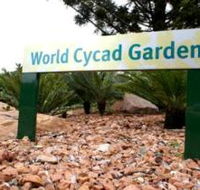 Anderson Park Botanic Gardens - Surfers Paradise Gold Coast